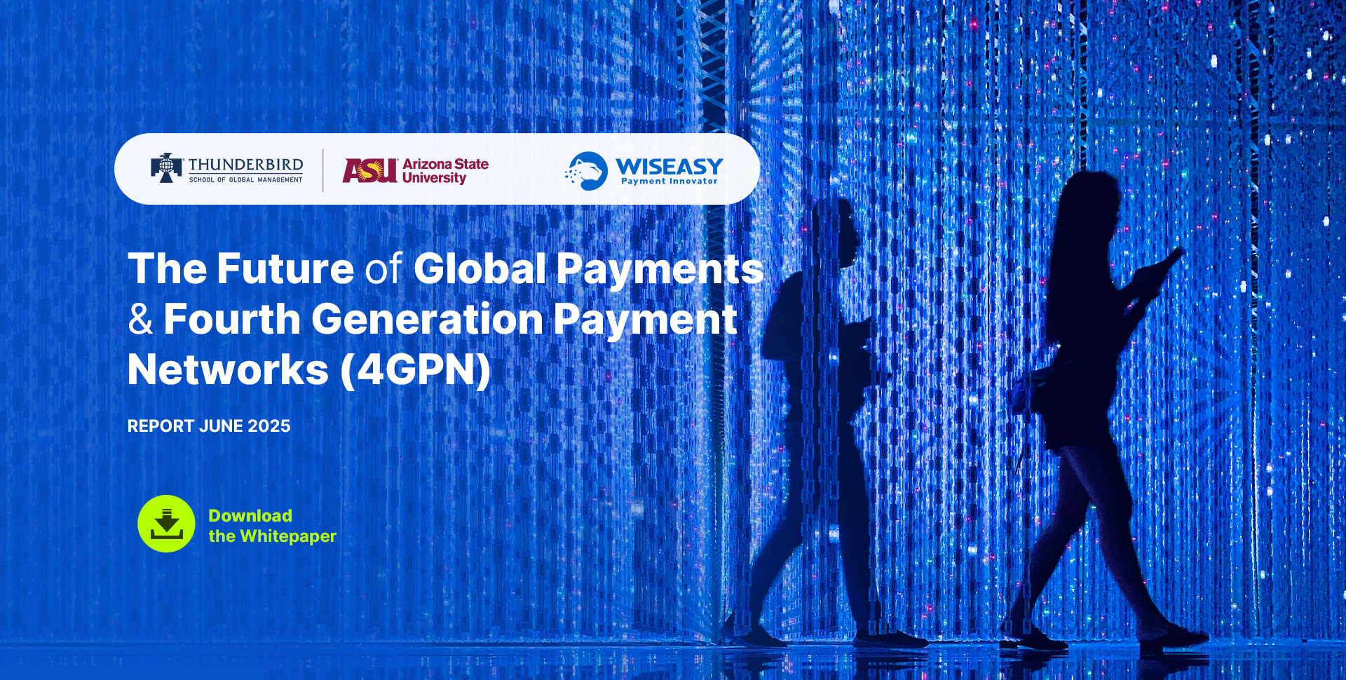 The Future of Global Payments & Fourth Generation Payment Networks (4GPN)