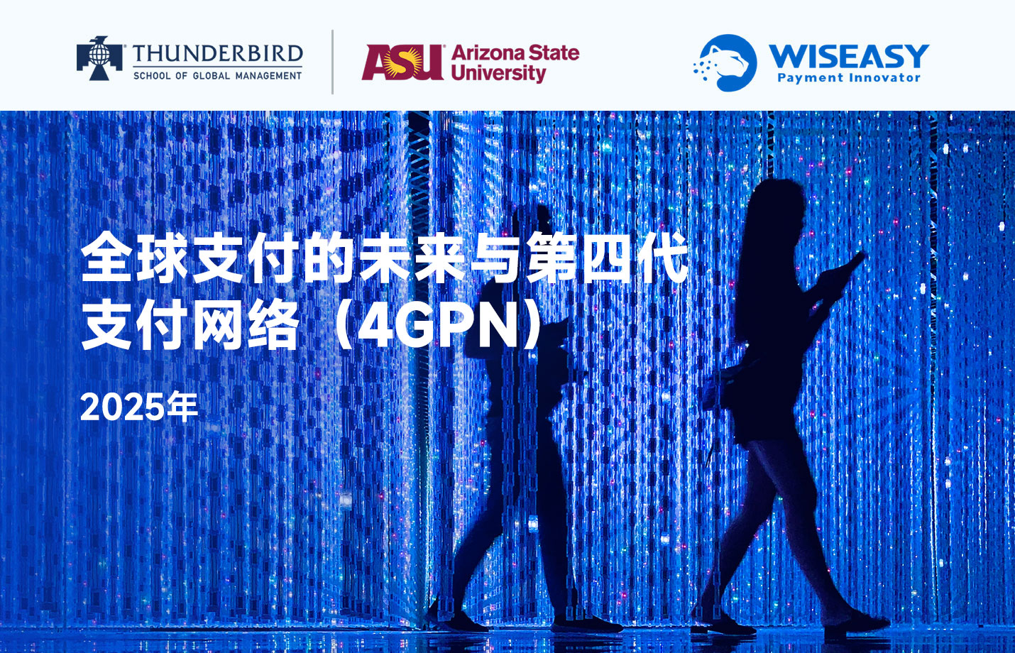 全球支付的未来与第四代支付网络（4GPN）